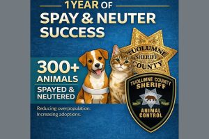 TCSAC flyer celebrating the success of its spay and neuter program