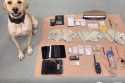 TNT drug bust in Sonora—TCSO photo