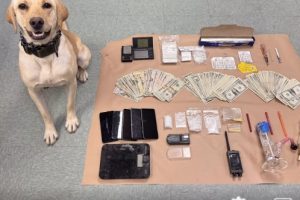 TNT drug bust in Sonora—TCSO photo