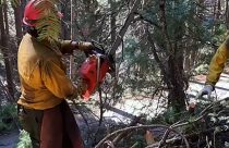 Stanislaus Hotshots currently working to reduce fuels along Forest Road 5N55 on the Calaveras Ranger District in the Irish/O’Manuel burn units—STF photo