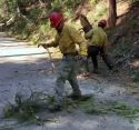 Stanislaus Hotshots currently working to reduce fuels along Forest Road 5N55 on the Calaveras Ranger District in the Irish/O’Manuel burn units—STF photo