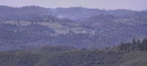 Update: Vegetation Fire In Mountain Ranch