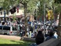 No Kings Protest in Sonora - Photo by Tracey Petersen