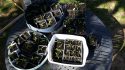 4-25 Picture, Seedlings for the Garden