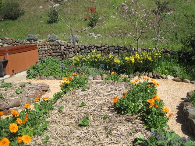 Sheet compost for Bringing Back the Natives tour by Becky Miller Cripps