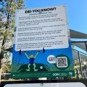 New no-smoking signs in Utica Park in Angels Camp—CCHD photo
