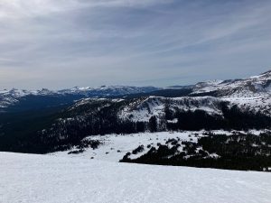 Snow in Yosemite's Tuolumne Meadows area for the April snowpack survey —Yosemite photo