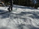 Rangers skiing Yosemite's Tuolumne Meadows area to survey the April snowpack—Yosemite photo