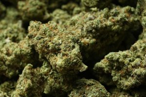 Trump Marijuana Reclassification