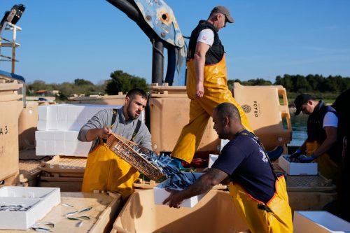 Croatia Fuel Fishermen