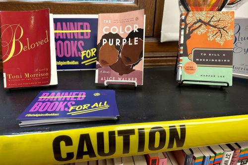 Challenged Books