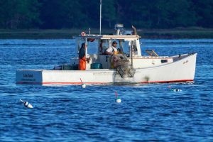 Food-Sustainable Seafood