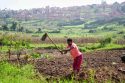 Rwanda Protecting Farmland