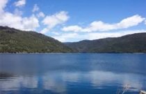 Beardsley Lake in the Stanislaus National Forest in Tuolumne County—Tri-Dam Project photo