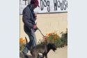 CCAS no new dogs due to disease