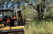 Caltrans mower fire in Valley Springs along Highway 12—CCF photo