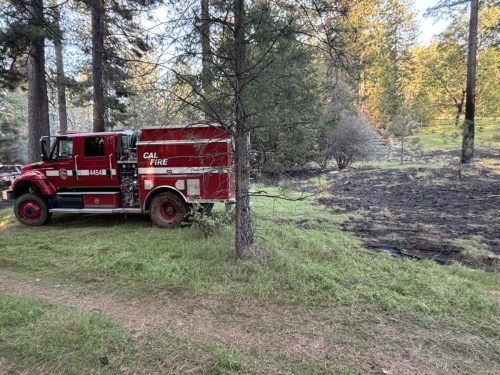 Swiss Fire in Mountain Ranch
