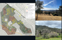 Mariposa Paths Map and Area