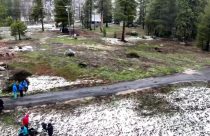 DWR April 1 Snowpack Survey at Phillips Station - DWR Image