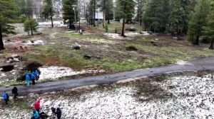 DWR April 1 Snowpack Survey at Phillips Station - DWR Image