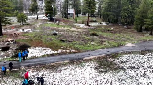 DWR April 1 Snowpack Survey at Phillips Station - DWR Image
