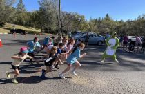 Mr. Frog's Wild Run 2025—Feeney Park Foundation photo