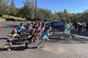 Mr. Frog's Wild Run 2025—Feeney Park Foundation photo