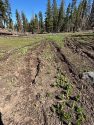 Damage to meadow forcing the closure of Herring Creek Road in the forest—STF photo