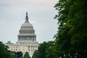 Congress
