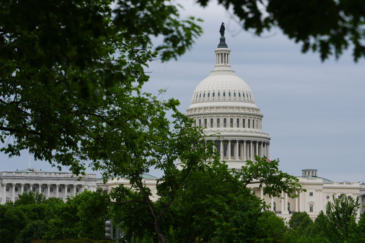 mymotherlode.com - AP News - AP Decision Notes: What to expect in Nebraska's primaries