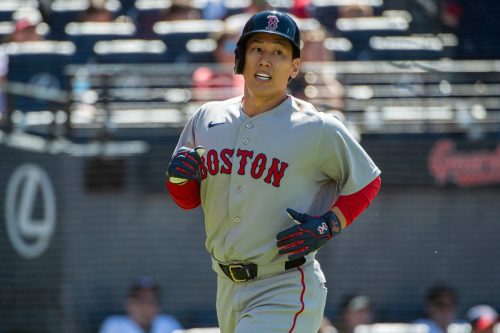 Red Sox Guardians Baseball