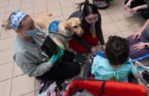 Children's Hospitals Dogs