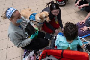 Children's Hospitals Dogs