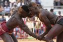 Senegal Wrestling Photo Gallery
