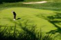 LPGA Tour Golf