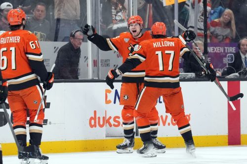 Golden Knights Ducks Hockey