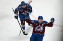 Wild Avalanche Hockey