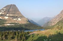Hiker Killed Bear