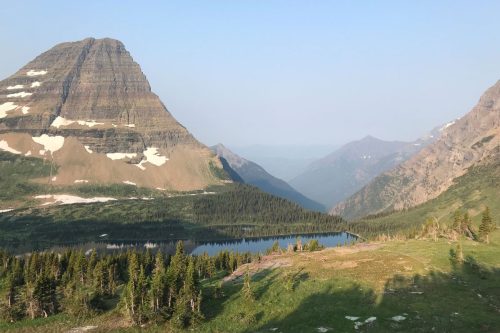 Hiker Killed Bear