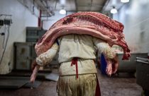 Daily life around the world, in photos