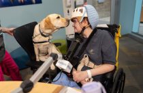 Children's Hospitals Dogs