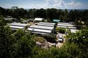 Australia Nauru