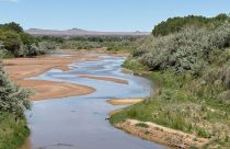 Rio Grande Water Fight