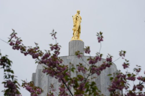 Election 2026 Decision Notes Oregon