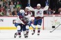 Avalanche Wild Hockey
