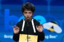 Spelling Bee