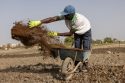 Iran War Fertilizer
