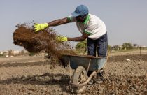 Iran War Fertilizer