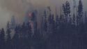 Plane Crash New Mexico