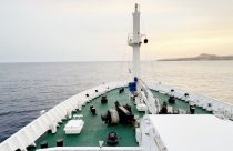Cape Verde Hantavirus Ship